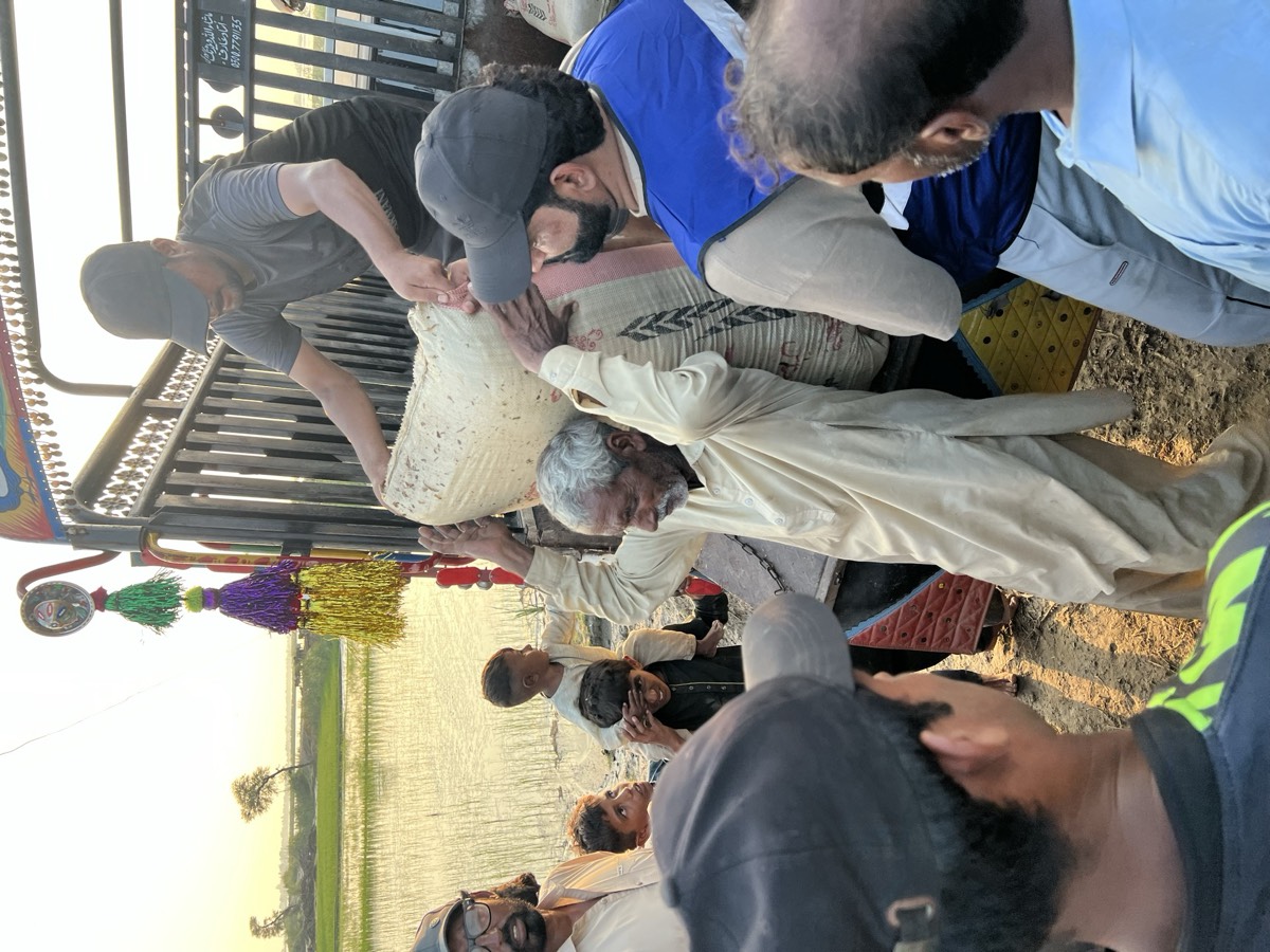 Flood Relief 2025 - Photo 7